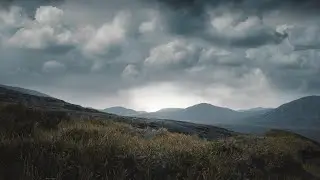 Guardians Of The Wilderness
