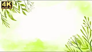 wedding title background video free download royal wedding title motion background loop video 4k bg
