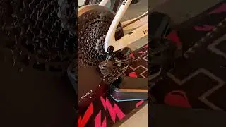 Berria mako dream build - Tacx flux 2 - muc off