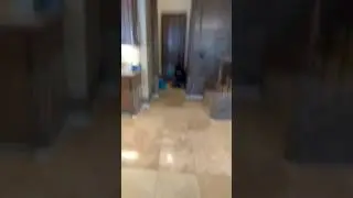 Stone Floor Restoration Dallas, Texas