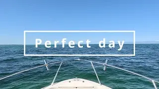 Dick Gary - Perfect day