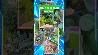 новый трек, скоро онлайн на YouTube / neues Video, bald online auf YouTube