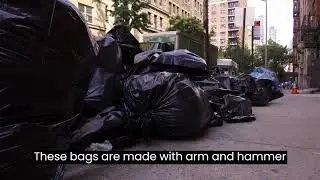 The Best 20 Gallon Trash Bags | Glad vs. Hefty vs. AmazonBasics vs. Trash Rite