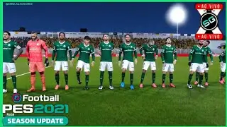🔵NOVORIZONTINO x PALMEIRAS AO VIVO SIMULANDO GAMEPLAY PC 🕹️🎮