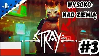 Stray PL #3 - Kicia do Zadań Specjalnych - Gameplay PL (PS5)