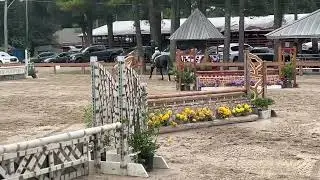 Margaret Dixon & Diamante&rsquo;s Emerald Isle- Germantown Charity Horse Show - 06/07/2022