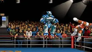 Ultimate Body Blows mp4 HYPERSPIN COMMODORE AMIGA GAME NOT MINE VIDEOS