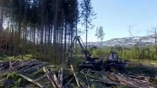 Ponsse Bear 6WD H8 - Kongsberg - Norway