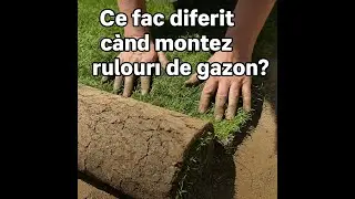 Ce fac diferit cand montez rulouri de gazon?