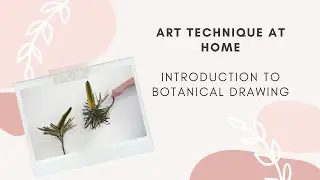 Art Technique at Home: Introduction to Botanical Drawing