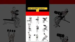 shoulder workout best shoulder workout gym shoulder workout top 10 shoulder workout gym workout