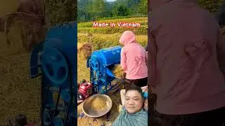 You can come to Vietnam to experience this way of harvesting rice #shorts #machine #farming
