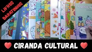 Meus livros de colorir - Ciranda cultural