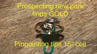 Minelab Equinox finds GOLD! Pinpointing tips for the 15&rdquo; coil