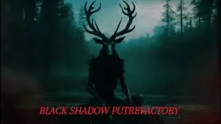 BLACK SHADOW PUTREFACTORY / ANIMIDAD INMACULADA / MELODIC BLACKENED DEATH METAL
