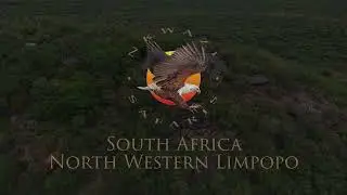 Nkwazi Safaris - North Western Limpopo