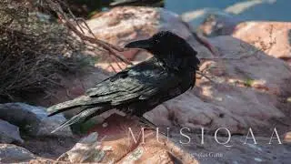 Nicholas Gunn ⋄ Beyond Grand Canyon ⋄ Music of the Great Southwest National Parks