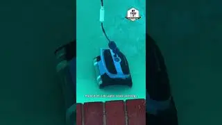 This is the best automatic pool cleaner money can buy!