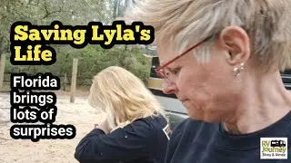 072 Dog Emergency: Major Lyla Scare in Florida