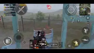 Livestream with ego tiger😎