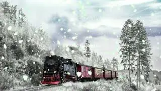 Sunny Morning Beautiful Piano Music | Perfect Relaxing Music | #musicqueen #pianomusic