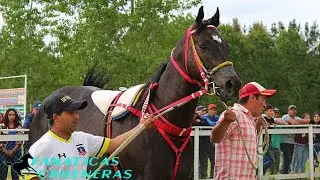 El Invasor - Sebastián Almendras 