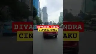 Divarina indra