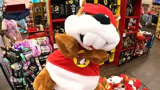 BUC-EES BIT #shorts #bucee #beavers #travel