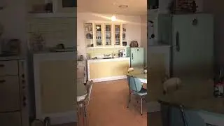 1950&rsquo;s decor (throwback)