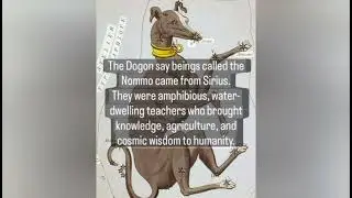 The Nommo, ancestral spirits, primordial beings central,  the mythology of the Dogon people of Mali,