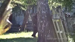 scopecam#32 ssg24 with ssg50 stock