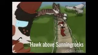 Hawk Above Sunningrocks (Redtail, & Tigerclaw song)