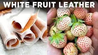 White Strawberry Fruit Leather