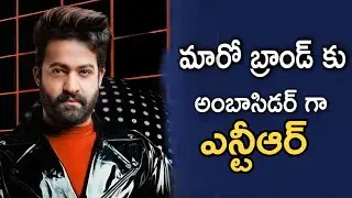 మరో కొత్త బ్రాండ్ కు అంబాసిడర్ గా ఎన్టీఆర్ | Ntr new brand ambassador | TFDM..#