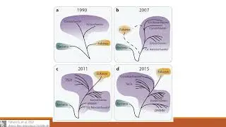 Archaeal Adventures 1: Discovery and Phylogeny