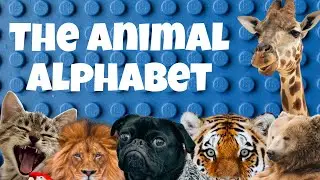 The Animal Alphabet - It's A Wonderful Day - Children's Educational Singalong Song