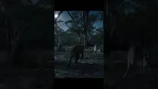 Ghost of the Wilderness: Part 5 #ai #cinematic #documentary #movie #nature #storytelling #thylacine