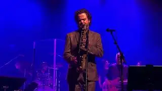 The Royal Dutch scam & Diederik van Vleuten Live. Babylon sisters.