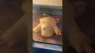 Кто испек лучше? 🐍 Змея против 🐸 Лягушки (Битва заквасок)