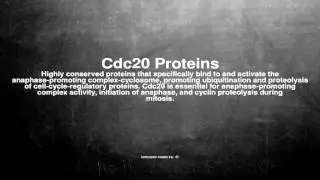 Medical vocabulary: What does Cdc20 Proteins mean