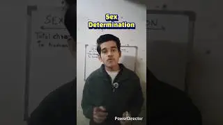 Sex Determination in Human Beings | One-Shot Explanation | Class 10 Boards#CBSE2026 #Class10Biology