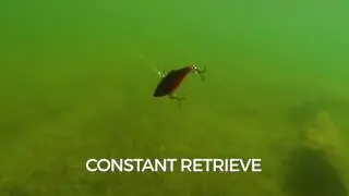 Swimming Action: Rattlin' Rapala