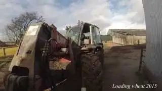 loading wheat 2015