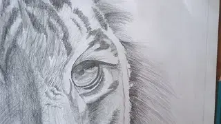 Learn how to draw easily in a few minutes | sher ki drawing banane ka saral tarika #lion art #speed 