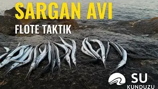 SARGAN AVI FLOTE TAKTİK! KAYALIKTA GÜNDÜZ AVI 🎣YEM HAMSİ OLUNCA DAYANAMADILAR.