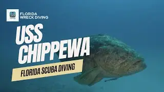 Exploring the USS Chippewa: Florida&rsquo;s Hidden Civil War Shipwreck