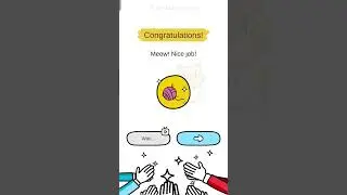 #730 brain out solve level 11-14
