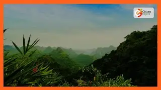 What is a carbon credit?