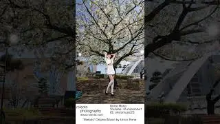 Tokyo Sakura Season Fashion Photography