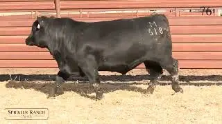 Spickler Ranch North Lot 76